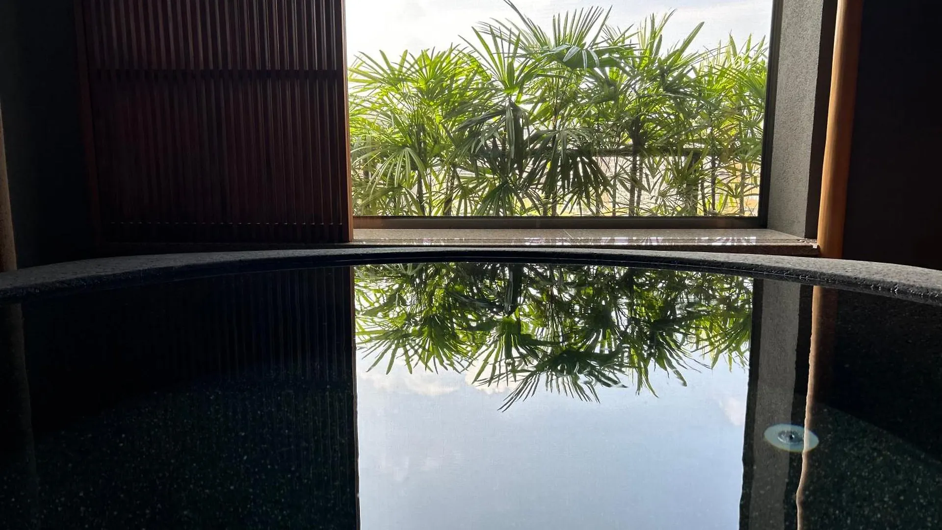 Ryokan Hotel Wakamizu Takarazuka
