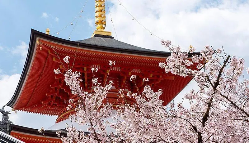 宝塚温泉ホテル若水 宝塚市 旅館